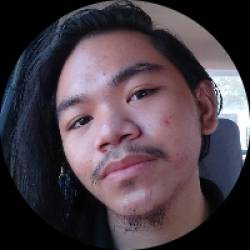 Freelance Journalist