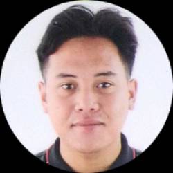Website Developer