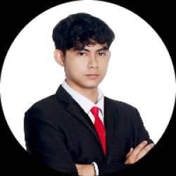Data Scientist