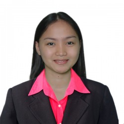 Accountant