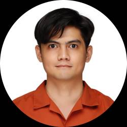 Software Developer