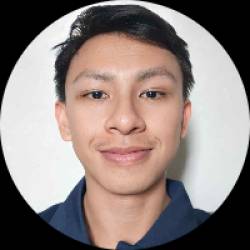 Multimedia Artist