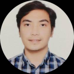 .NET Developer