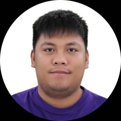 IT Analyst