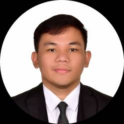 Media Review Analyst
