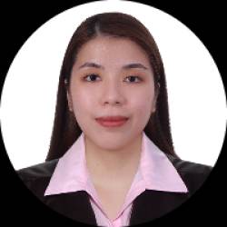 Civil Engineer