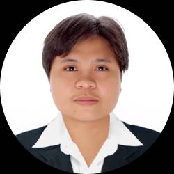 Software Tester