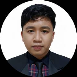 Software Developer
