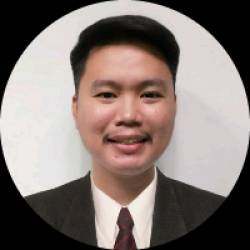 Virtual Professional