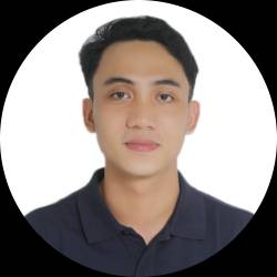 Webflow Developer