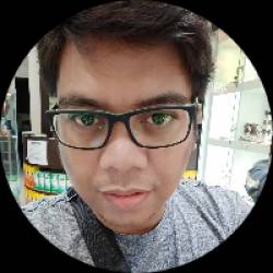 Software Developer