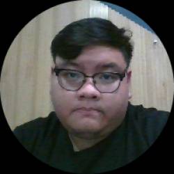 IT Specialist