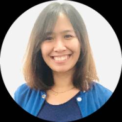 Business Intelligence / Data Analyst