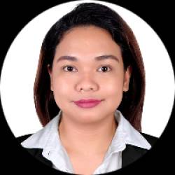accountant