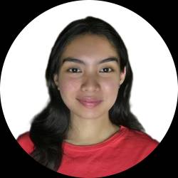 Virtual Assistant