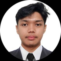 IT assistant