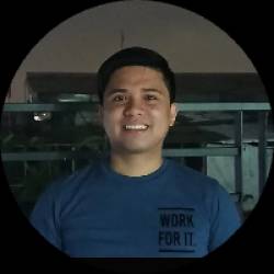Security Analyst