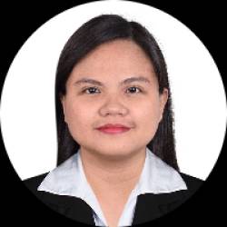 Civil Engineer