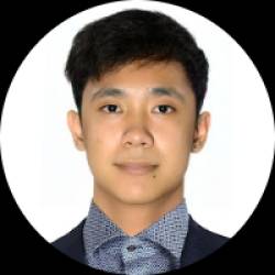 Software Developer
