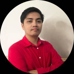 Software Developer