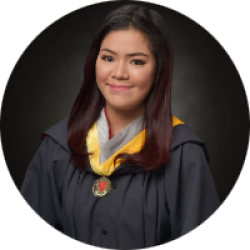 Computer Analyst