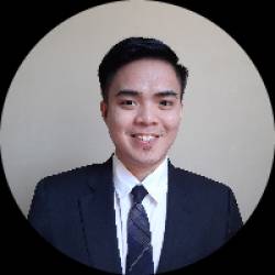 Software Developer