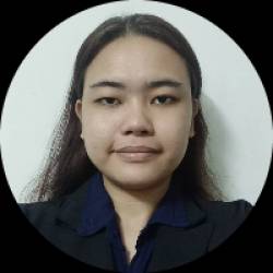 Freelancer