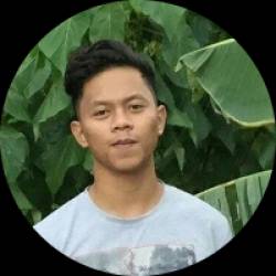 Web Developer / Wordpress Developer