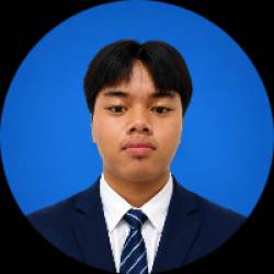Professional Video Editor