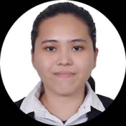 Civil Engineer