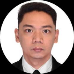 Project Engineer