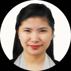 Civil Engineer