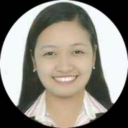 Transport Planning Officer