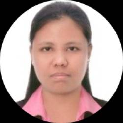 Software Developer / Software Tester