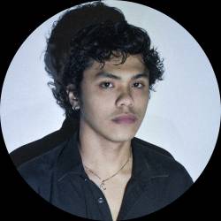 Multimedia Artist