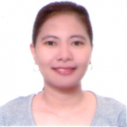 Web Developer / Wordpress Developer / Virtual Assistant