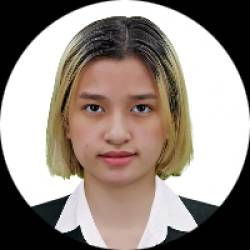 Insurance Virtual Assistant