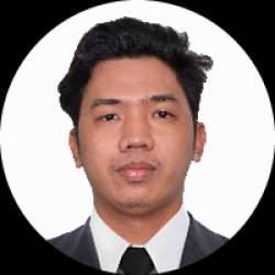 Data analyst