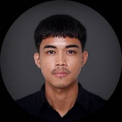 Project and Program Management Consultant