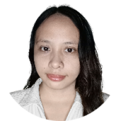 System Developer, Digital Solution Innovator