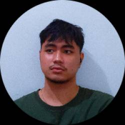 Virtual Assistant and Web Developer