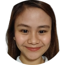 Planning Enginner, Virtual Assistant, Project Scheduler
