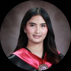 Petroleum Engineer
