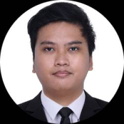 Software Developer