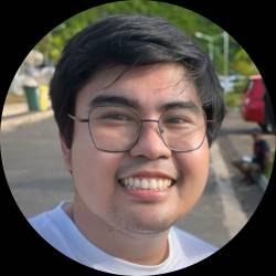 Software Developer
