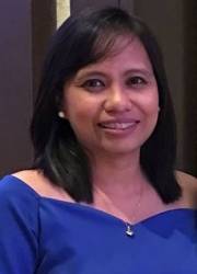 Attorney / Litigation Lawyer