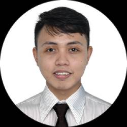 Mobile Application Developer