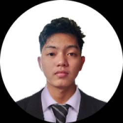 Junior Developer