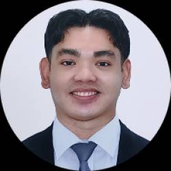 Software Developer