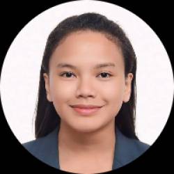 Registered Electrical Engineer